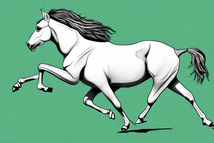 A kathiawari horse galloping through a grassy landscape in randburg