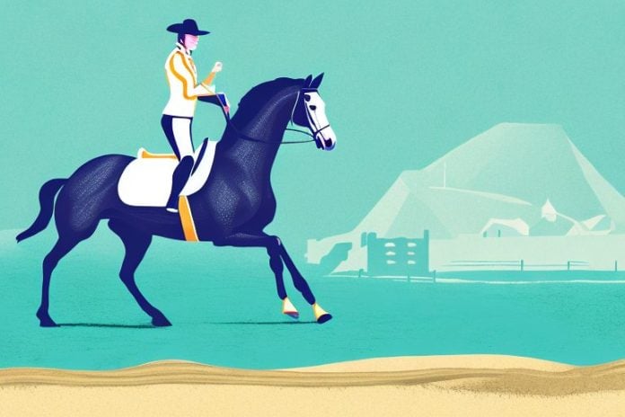 An irish sport horse galloping across a beach in port elizabeth