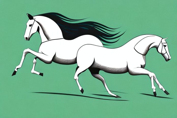 A horse and rider galloping across a grassy field in bisho
