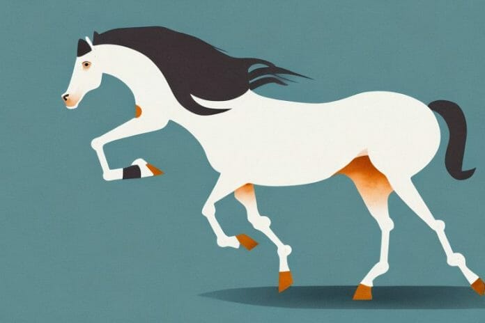 A brumby horse in its natural habitat