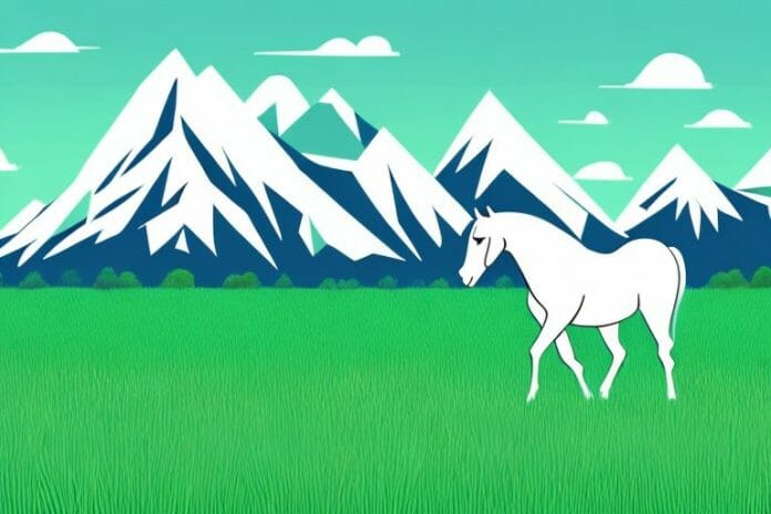 A horse in a field of grass