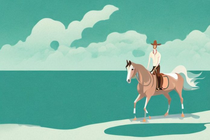 A horse and rider in a scenic landscape with the ocean in the background