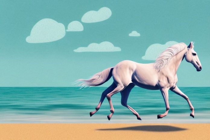 A hackney horse galloping along the beach in margate