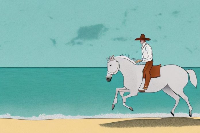 A horse and rider galloping along a beach in jeffreys bay