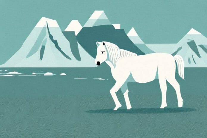 An icelandic horse in a scenic landscape in jeffreys bay