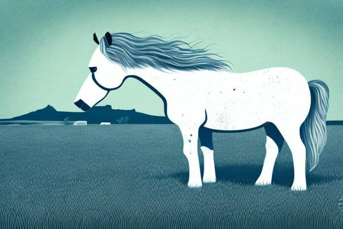 An icelandic horse in a field in kroonstad