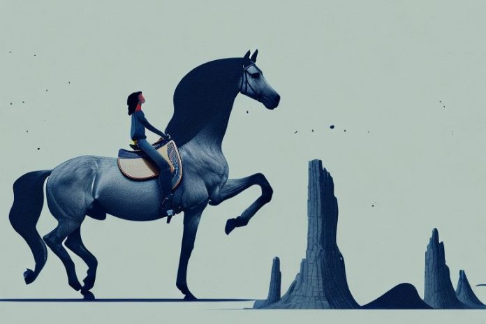 A horse and rider in the landscape of botshabelo