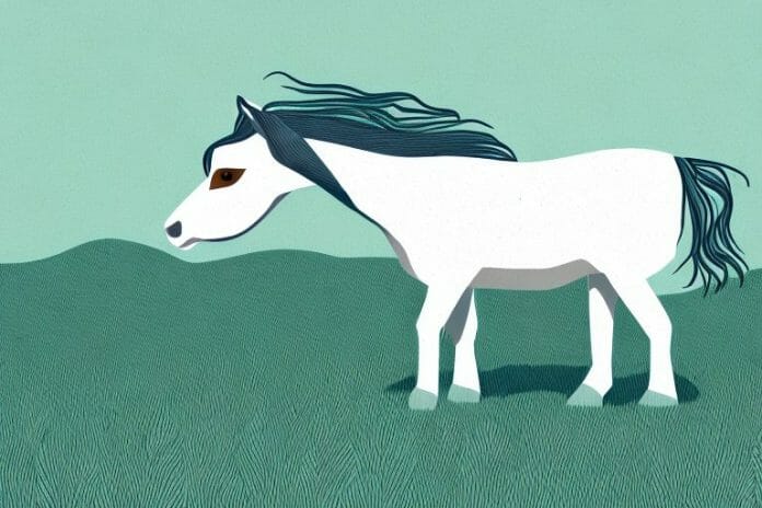 A shetland pony in a field in pinetown