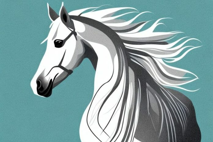 An andalusian horse in a rural setting
