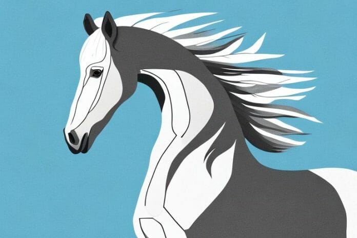 A majestic percheron horse in its natural environment in the northern cape