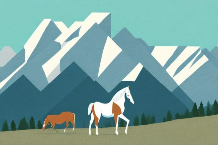 A horse in the rocky mountains with a backdrop of the south african landscape
