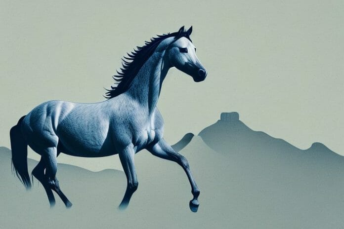 A wild mustang horse in the free state