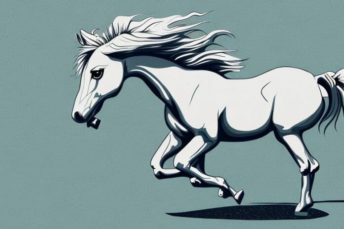 A mustang horse in its natural environment in calvinia