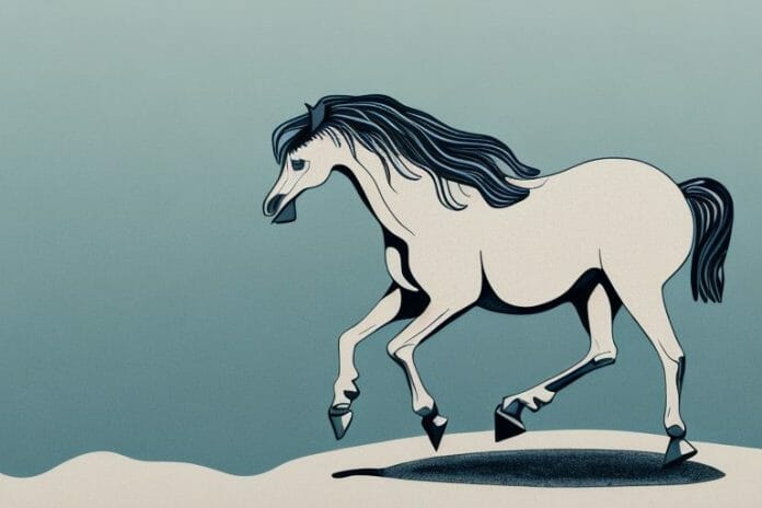 A brumby horse in its natural habitat in margate