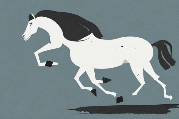 A brumby horse in its natural habitat in kathu