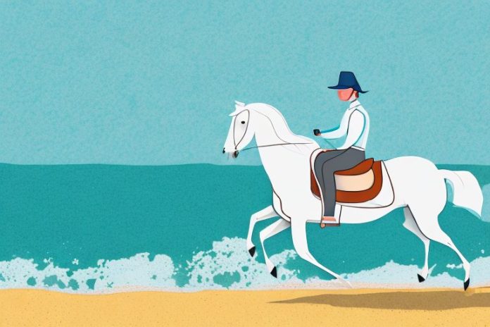 A horse and rider galloping along the beach in mossel bay