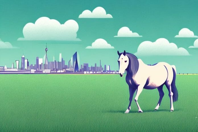 A horse in a field with the port alfred skyline in the background