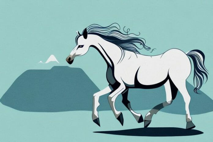A majestic fjord horse in its natural habitat in the northern cape