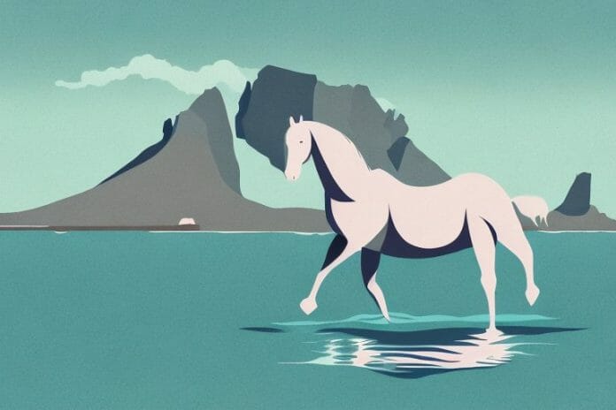 A fjord horse in its natural environment in simon's town