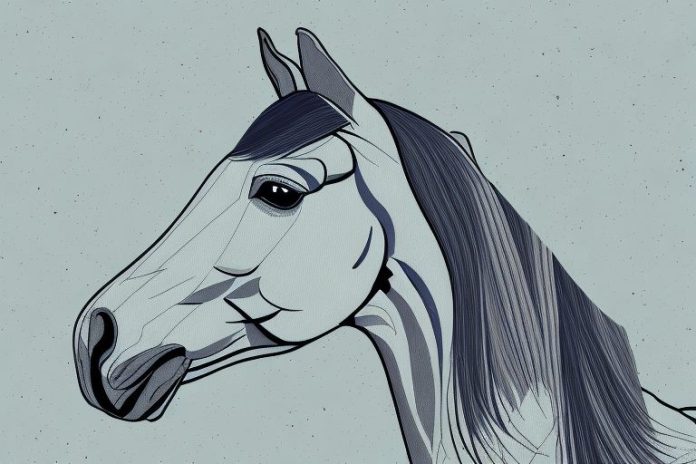 A trakehner horse in a gauteng