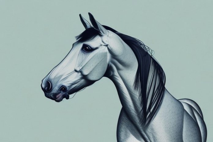 A trakehner horse in a south african landscape