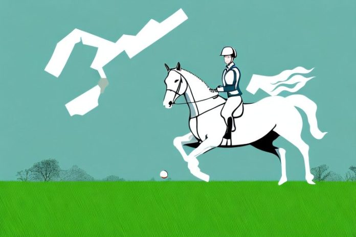 An irish sport horse in a grassy field in umhlanga