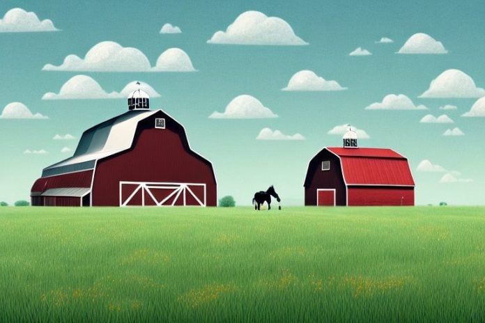 A horse in a field with a barn in the background