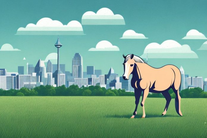 A horse in a field with a backdrop of the randburg skyline