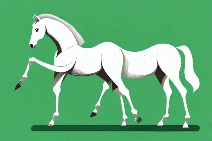 An arabian horse in a lush