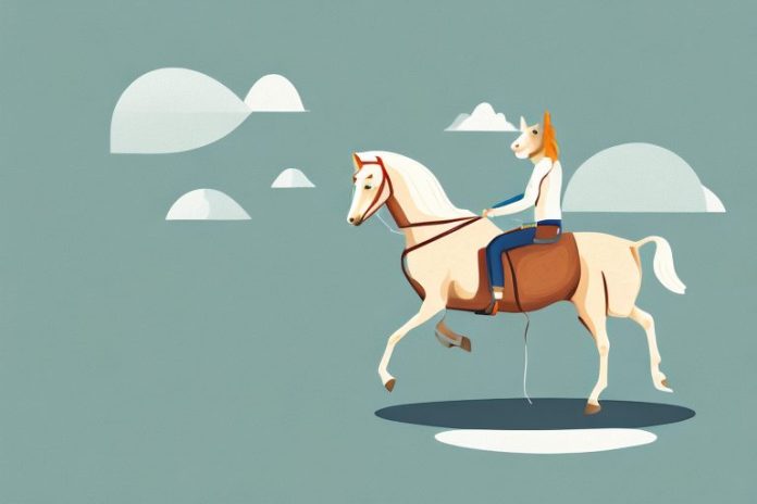 A haflinger horse being ridden in a kathu landscape