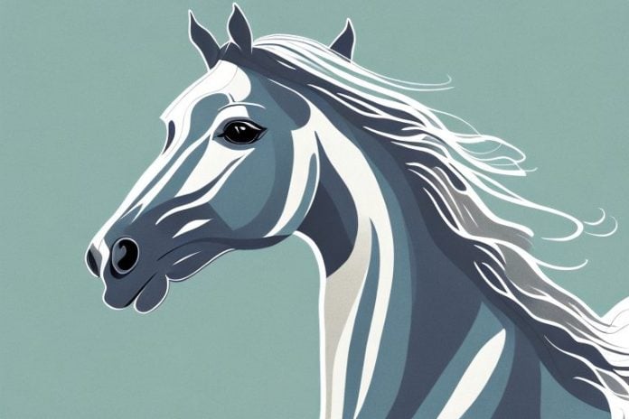 A majestic arabian horse in a scenic hermanus