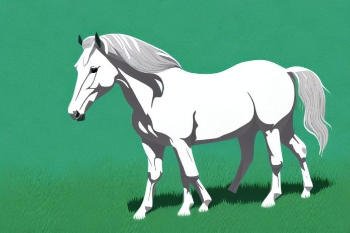 A majestic american quarter horse in a grassy field in vanderbijlpark