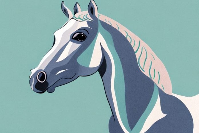 An arabian horse in a south african landscape