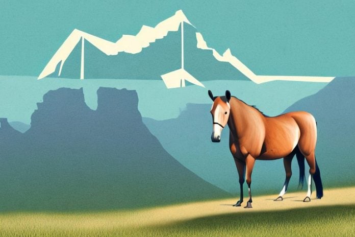 A kentucky mountain saddle horse in a south african landscape