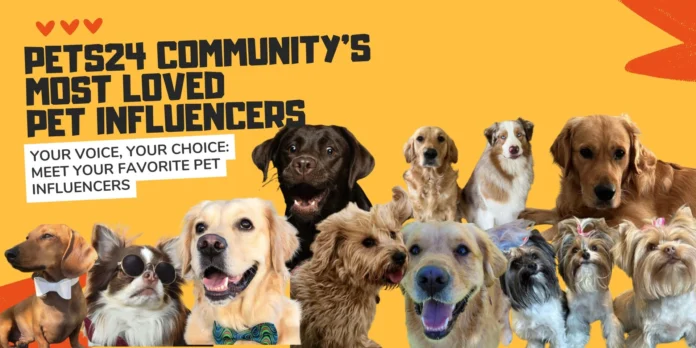 Pets24-Influencers