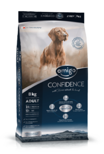 Confidence Adult