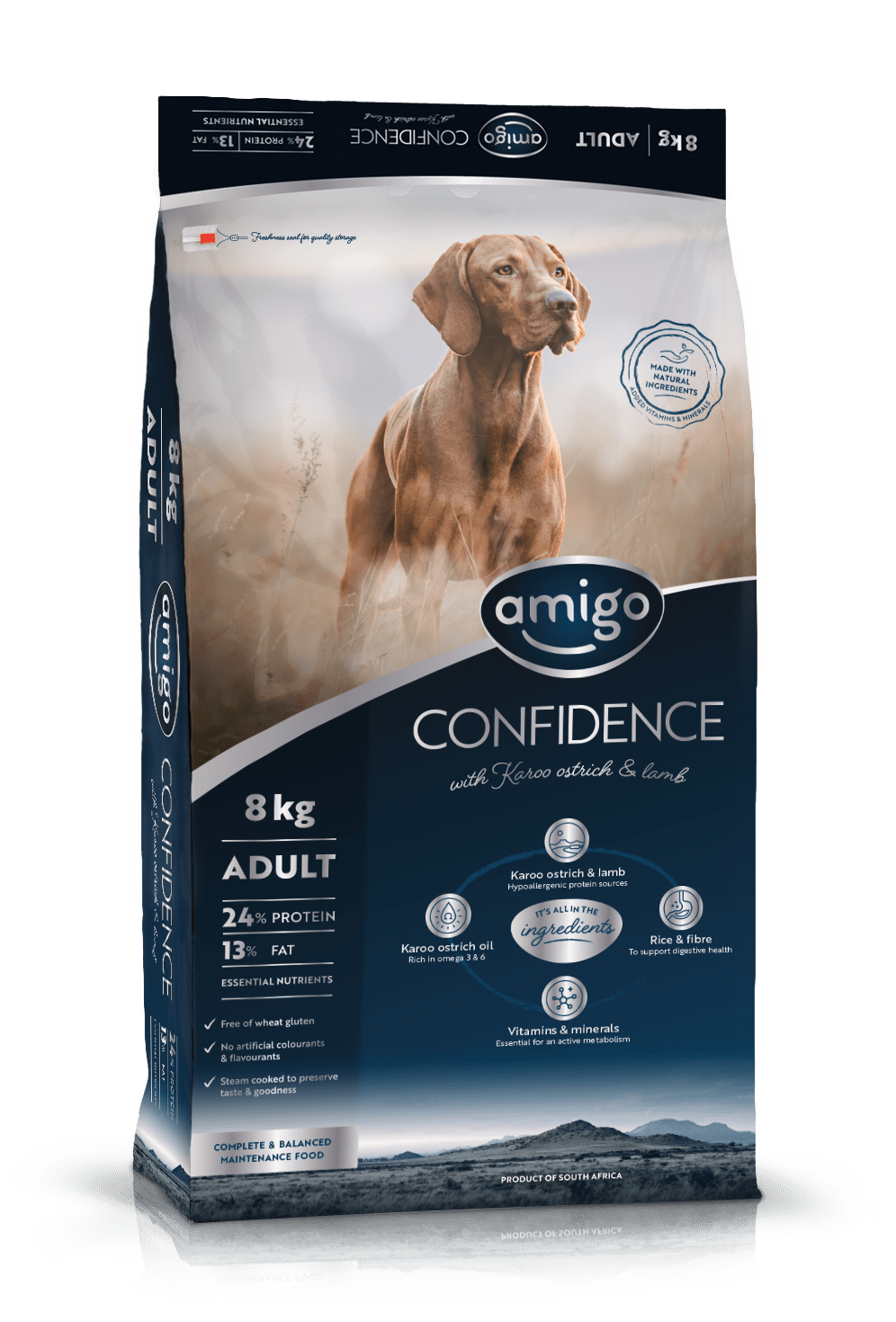 Confidence Adult