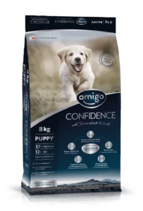 Confidence Puppy