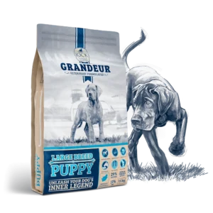 Grandeur Large Puppy