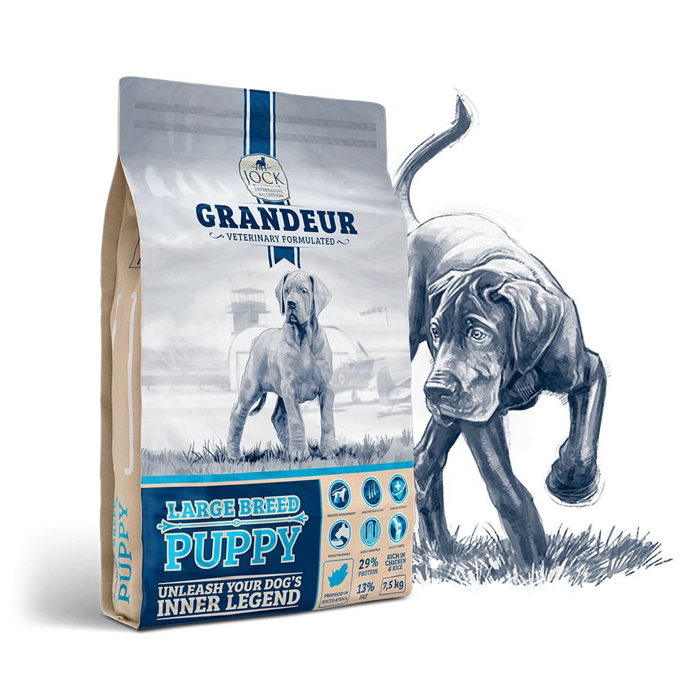 Grandeur Large Puppy