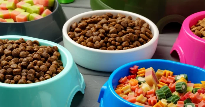 Dog Nutritionist Explains How Diet Could Be Affecting Your Pet’s Anxiety, Energy, and Sleep.