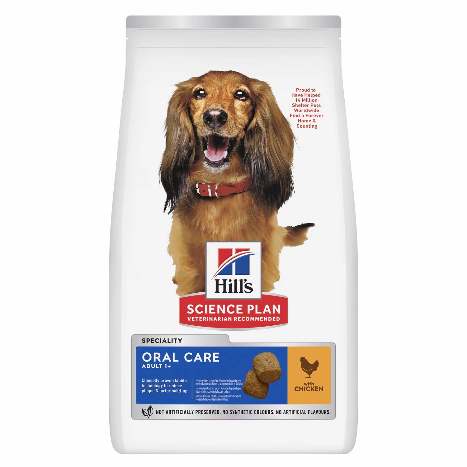 Oral Care Adult Dog Food Chicken Flavour