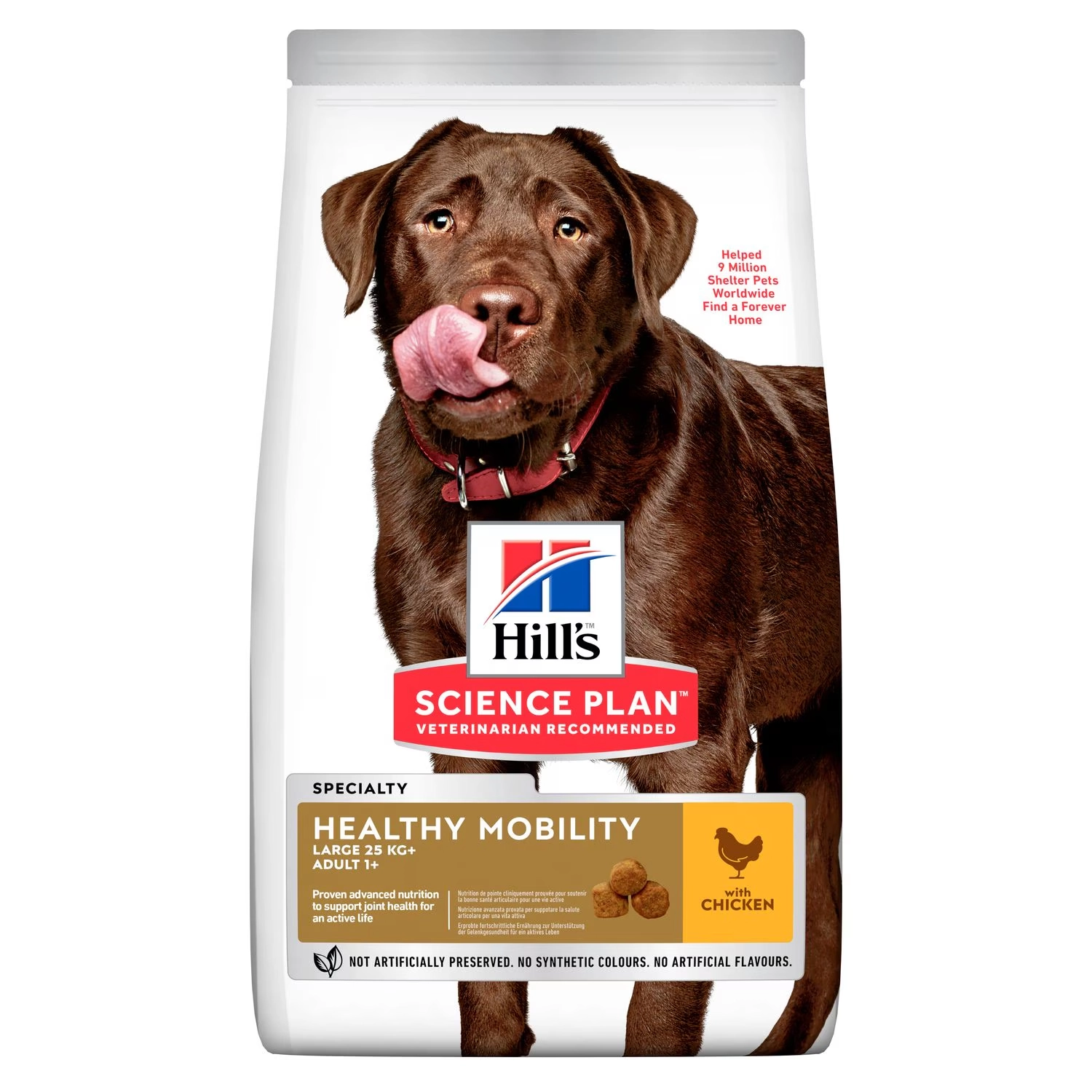 Healthy Mobility Large Breed Adult Dog Food