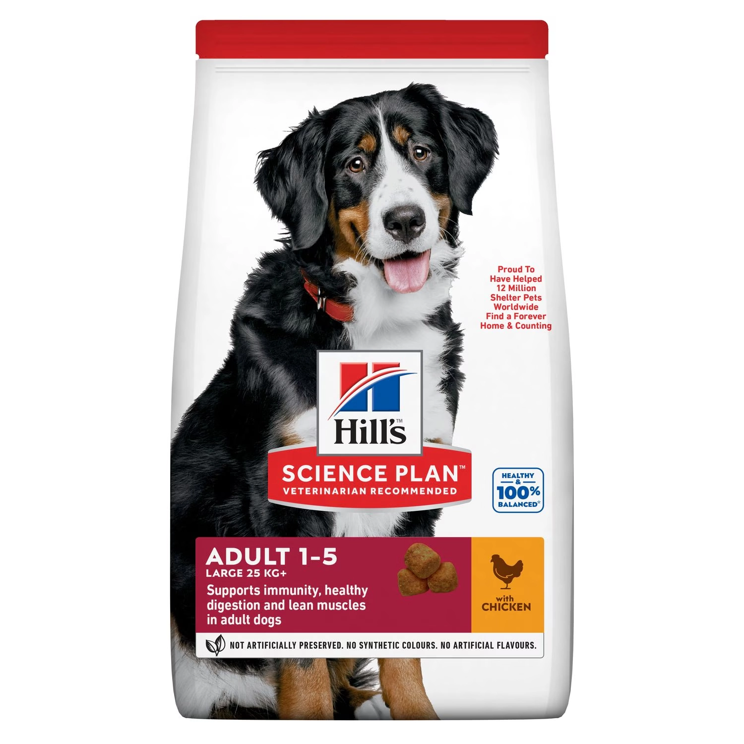 Large Breed Adult Dog Food