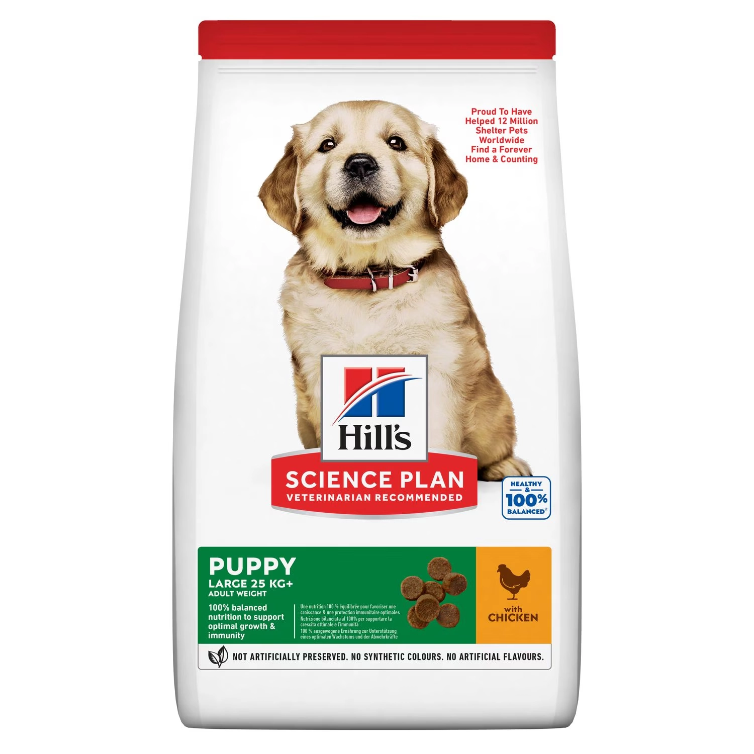 Large Breed Puppy Food