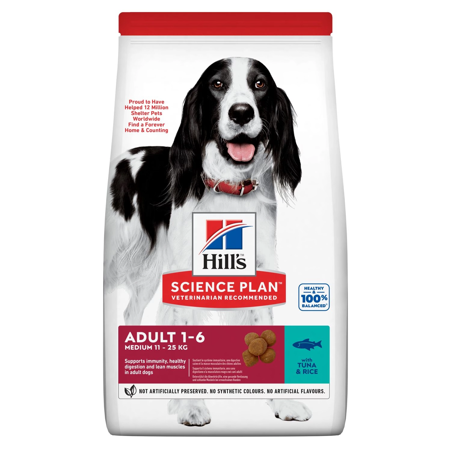 Medium Adult Dog Food