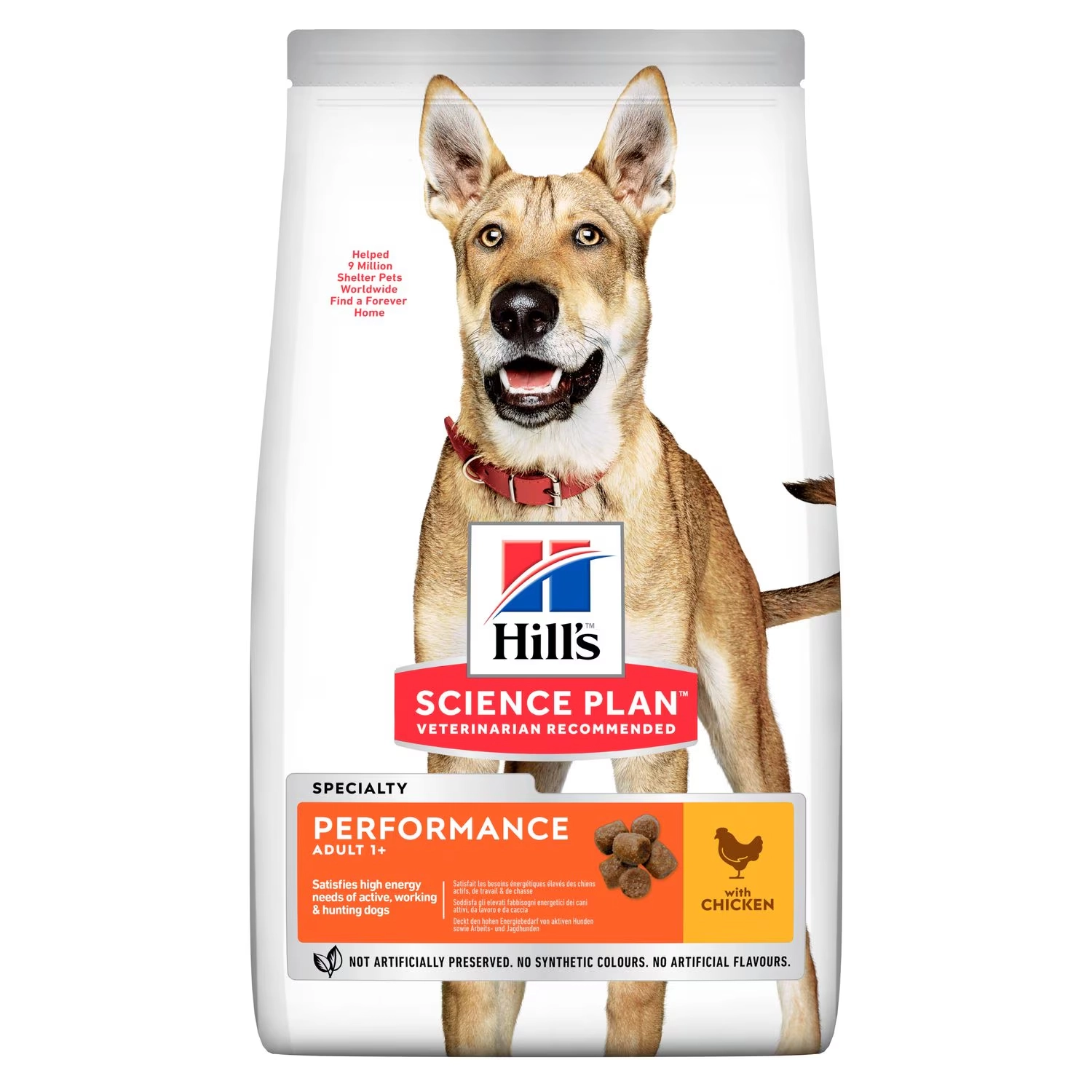 Performance Adult Dog Food
