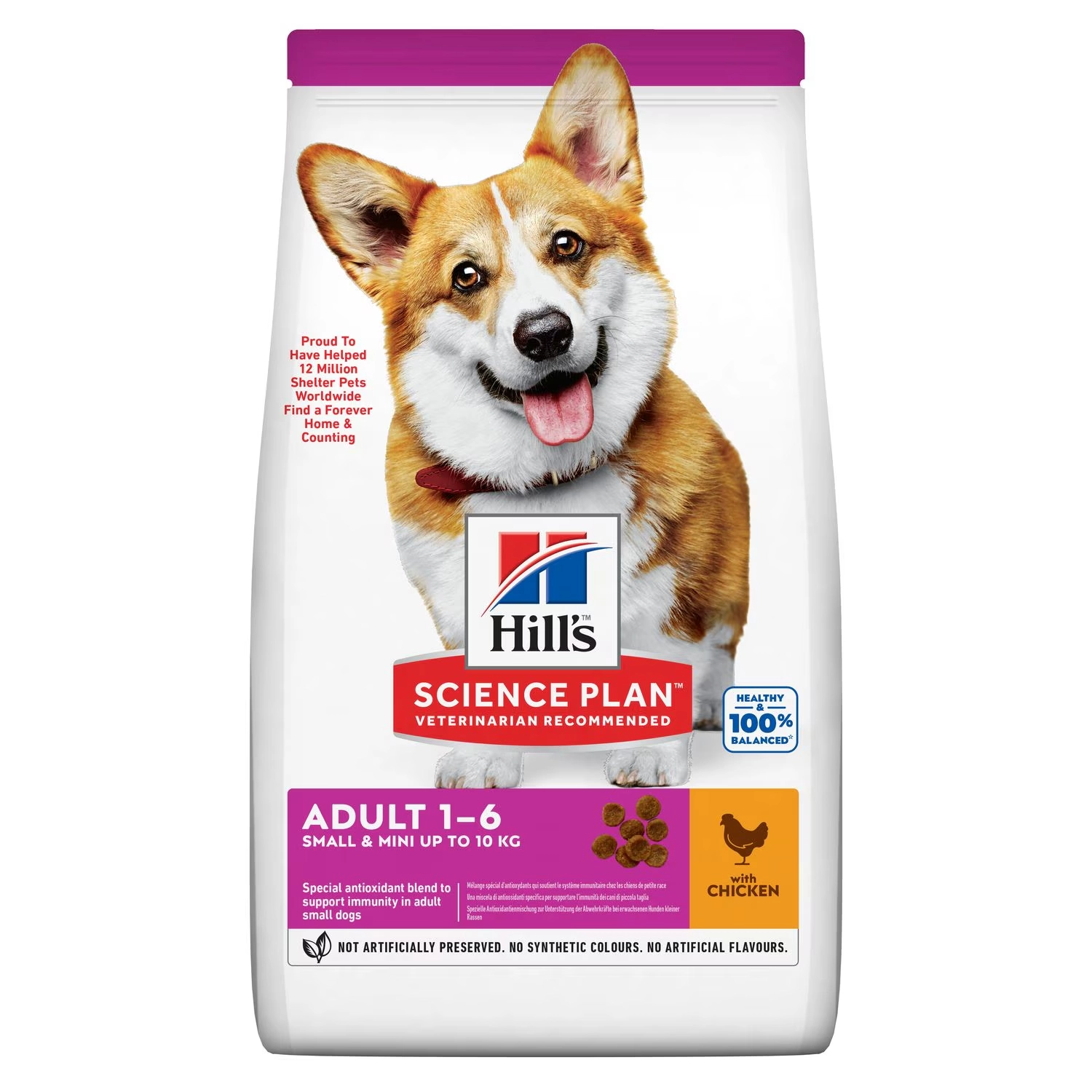 Small & Mini Adult Dog Food