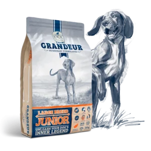 Grandeur Large Junior