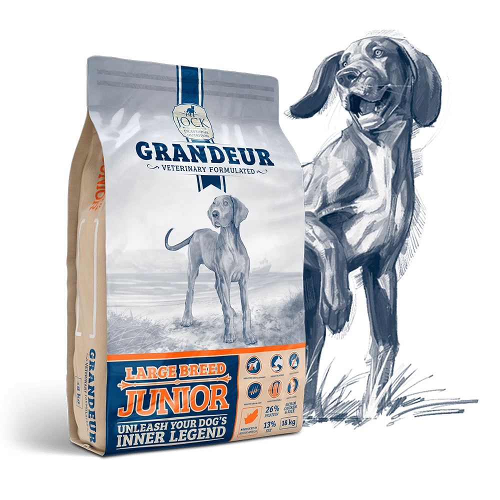 Grandeur Large Junior